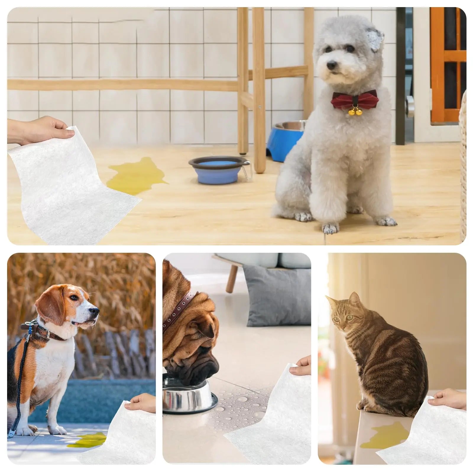 Quick Absorbent Pet Pee Pads – Disposable Dog Training Sheets for Urine, Stains & Odor Control